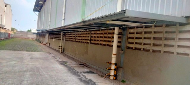 Canopy — foto 5
