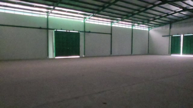 Video 7