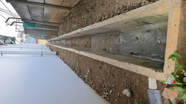 Drainese — foto 1