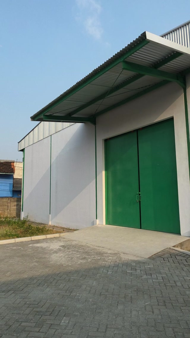 Video 1