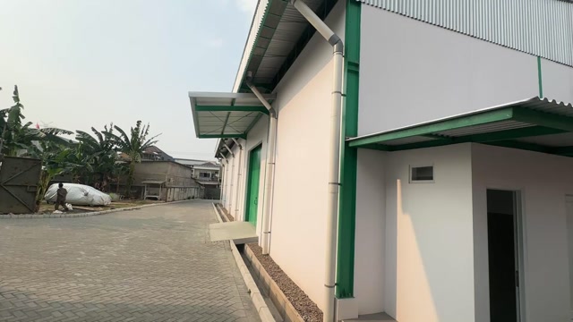 Video 5