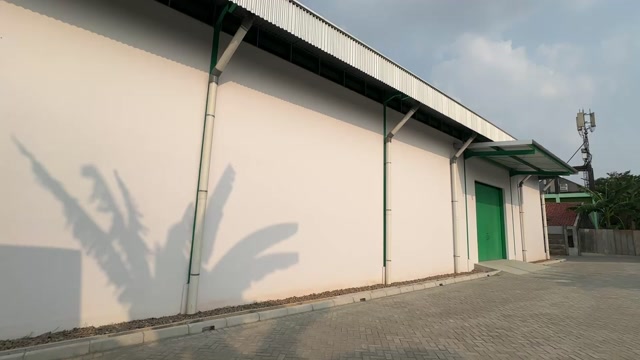 Video 6